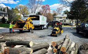 Best Leaf Removal  in Ashland City, TN